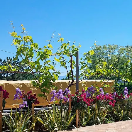 Marija-1 By Interhome Apartman Jurandvor